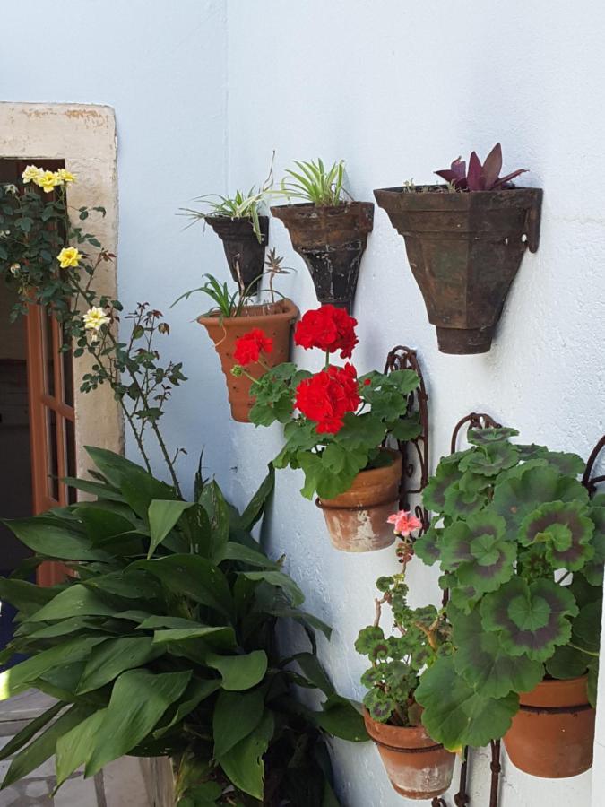 Rua Das Rosas 22/B&B Figueira da Foz Exterior foto